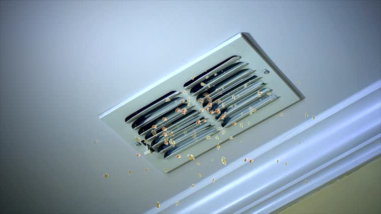 Best Residential Air Duct Cleaning  in English, IN